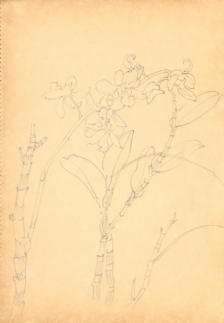 藏品:花鳥寫生冊014的(2)張圖片