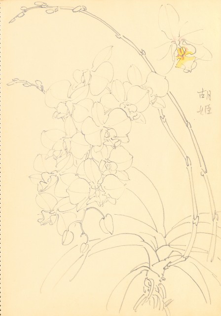 藏品:花鳥寫生冊的(5)張圖片