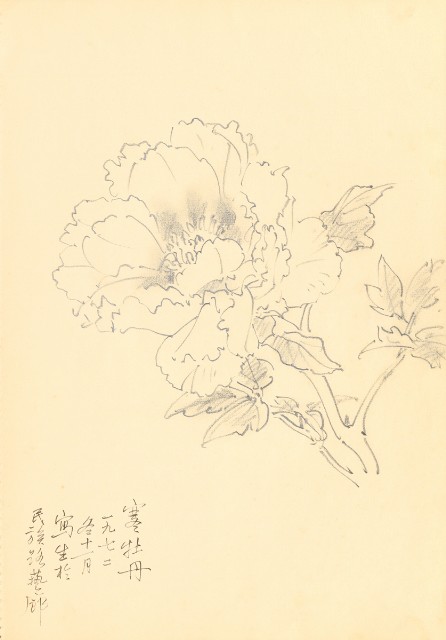 藏品:花鳥寫生冊的(10)張圖片