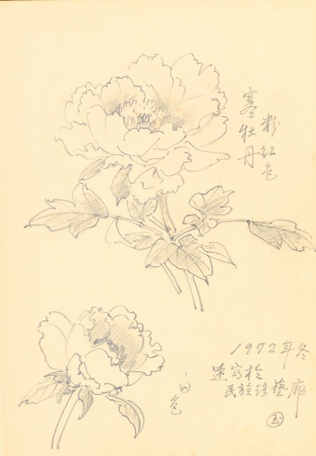 藏品:花鳥寫生冊的(11)張圖片