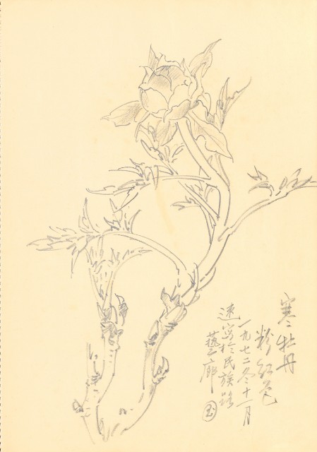 藏品:花鳥寫生冊的(13)張圖片