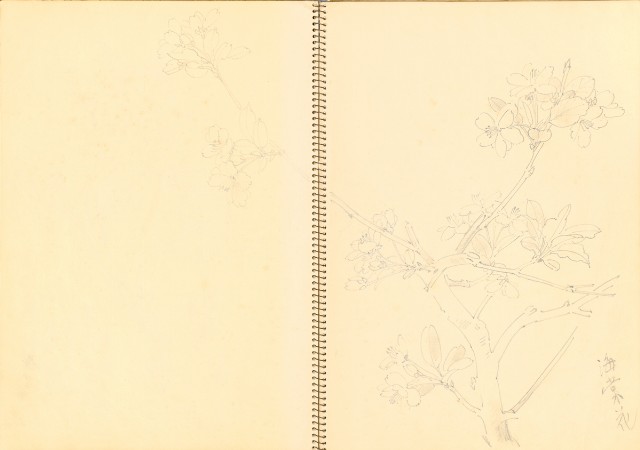藏品:花鳥寫生冊的(14)張圖片