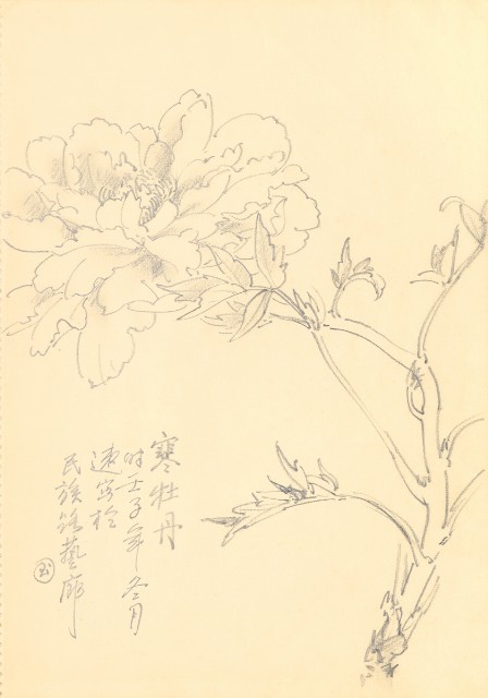 藏品:花鳥寫生冊的(15)張圖片