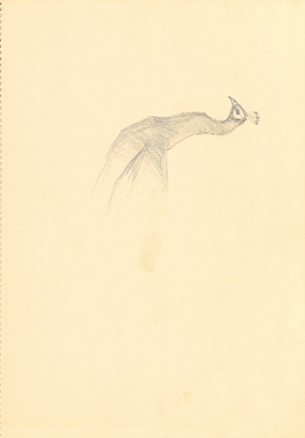 藏品:花鳥寫生冊014的(16)張圖片