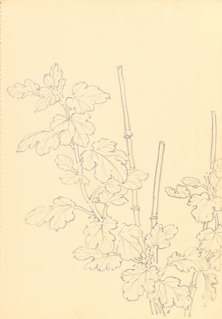 藏品:花鳥寫生冊的(21)張圖片