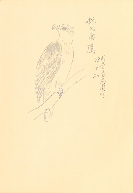 藏品:花鳥寫生冊的(23)張圖片