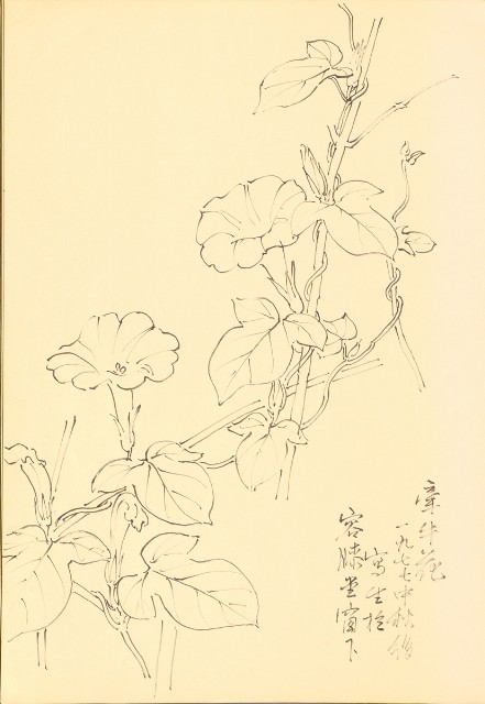 藏品:花鳥寫生冊014的(25)張圖片