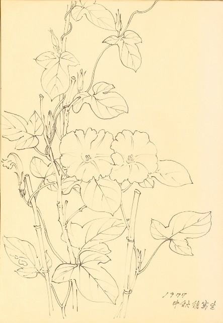 藏品:花鳥寫生冊的(26)張圖片