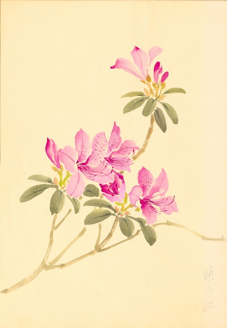 藏品:花鳥寫生冊014的(28)張圖片