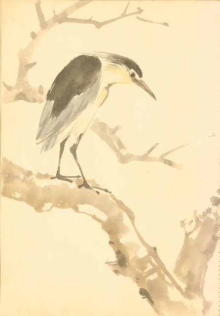 藏品:花鳥寫生冊014的(30)張圖片