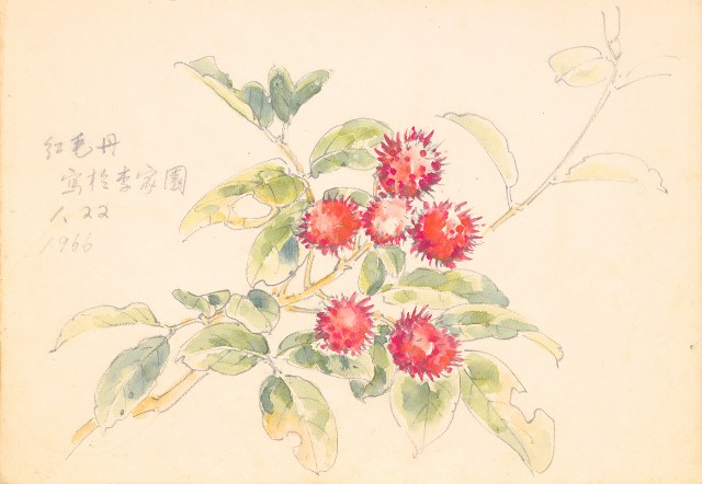 藏品:花、牛、泰國景、印度人等寫生集015的(2)張圖片