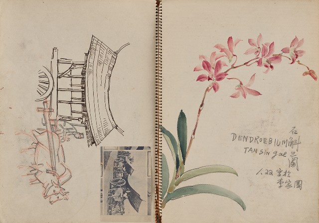 藏品:東南亞之旅寫生集的(3)張圖片