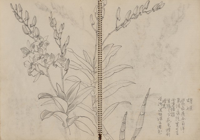 藏品:東南亞之旅寫生集的(5)張圖片