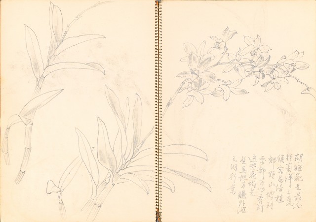 藏品:花、牛、泰國景、印度人等寫生集015的(5)張圖片