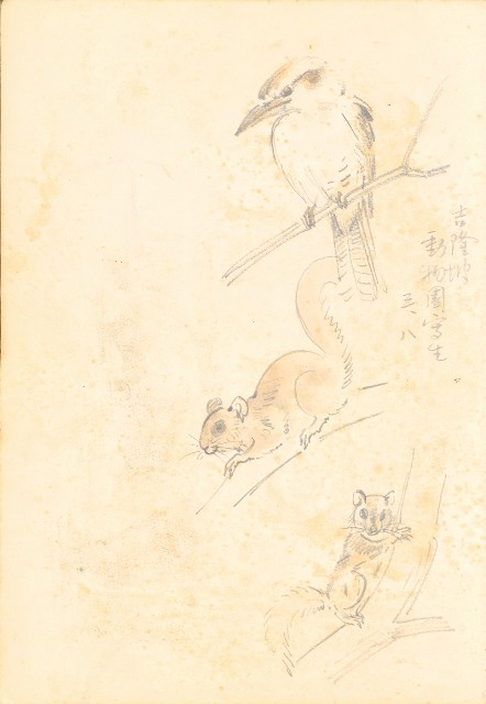 藏品:花、牛、泰國景、印度人等寫生集015的(10)張圖片