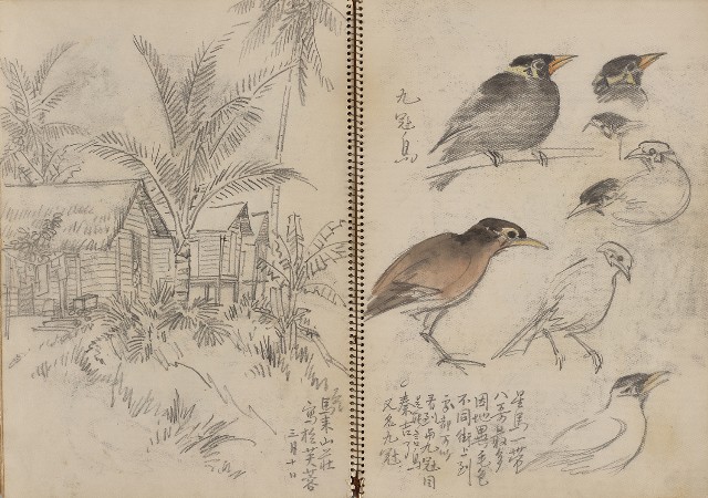 藏品:東南亞之旅寫生集的(12)張圖片