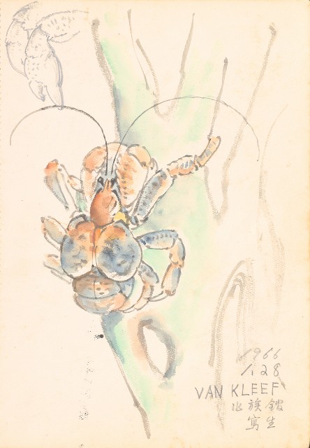 藏品:花、牛、泰國景、印度人等寫生集015的(15)張圖片