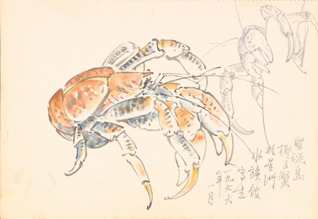 藏品:花、牛、泰國景、印度人等寫生集015的(16)張圖片