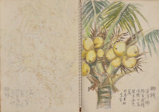 藏品:東南亞之旅寫生集的(21)張圖片