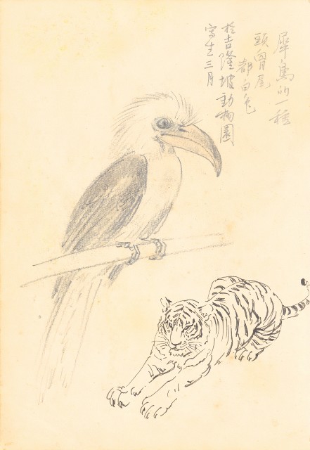 藏品:花、牛、泰國景、印度人等寫生集015的(28)張圖片