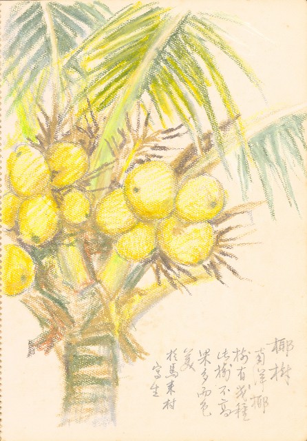 藏品:花、牛、泰國景、印度人等寫生集015的(33)張圖片