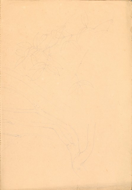 藏品:人物、花、鳥、樹等寫生集016的(2)張圖片