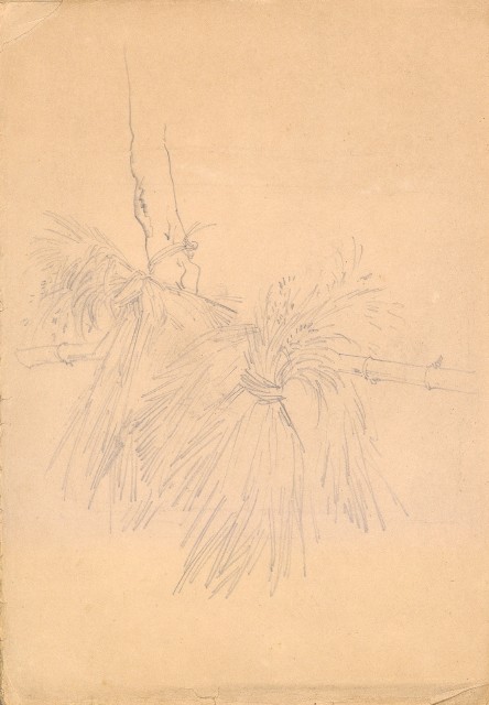 藏品:人物、花、鳥、樹等寫生集016的(5)張圖片