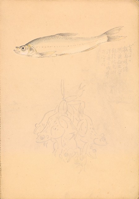 藏品:人物、花、鳥、樹等寫生集016的(6)張圖片