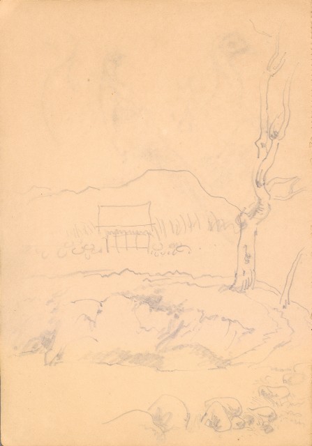 藏品:人物、花、鳥、樹等寫生集016的(9)張圖片