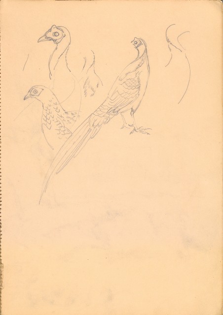 藏品:人物、花、鳥、樹等寫生集016的(10)張圖片