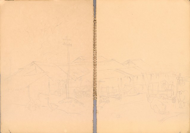 藏品:人物、花、鳥、樹等寫生集016的(13)張圖片