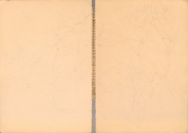 藏品:人物、花、鳥、樹等寫生集016的(14)張圖片