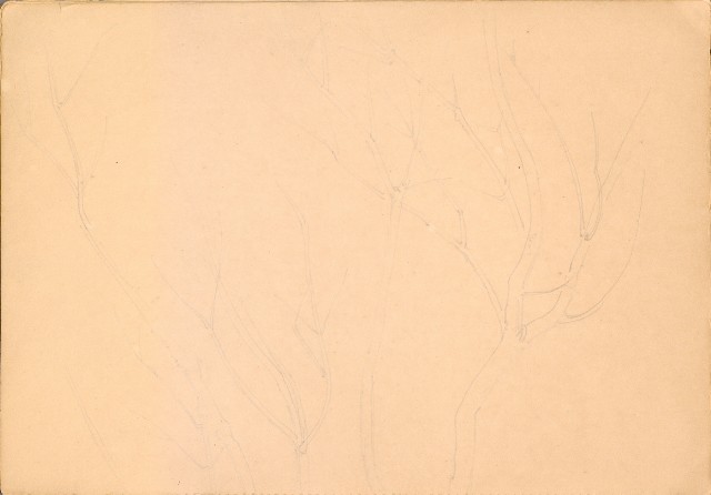 藏品:人物、花、鳥、樹等寫生集016的(15)張圖片