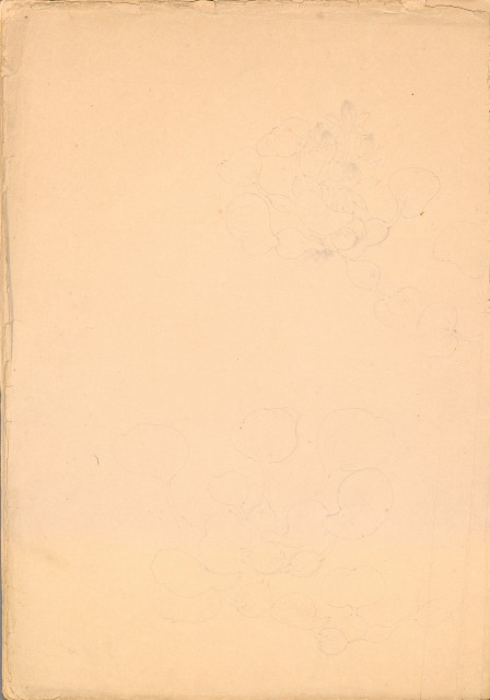 藏品:人物、花、鳥、樹等寫生集016的(17)張圖片