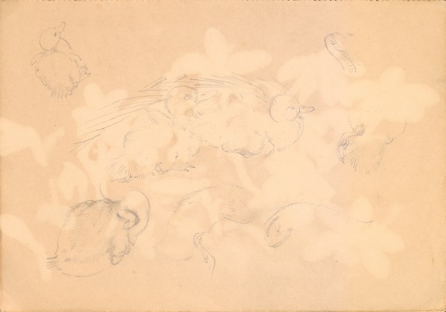 藏品:人物、花、鳥、樹等寫生集016的(23)張圖片