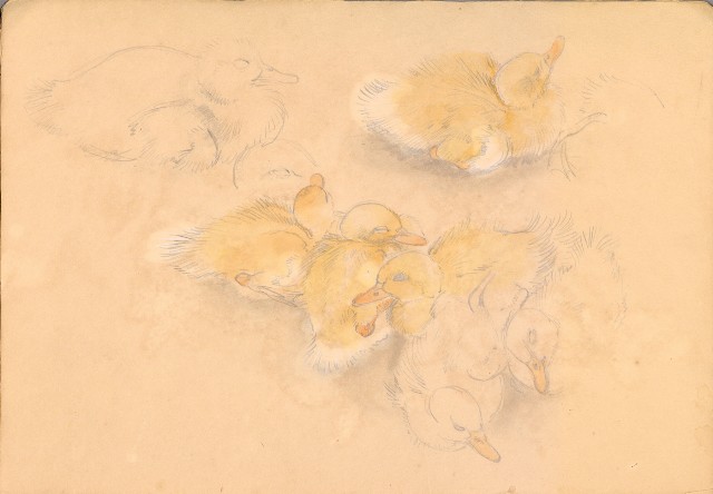 藏品:人物、花、鳥、樹等寫生集016的(24)張圖片