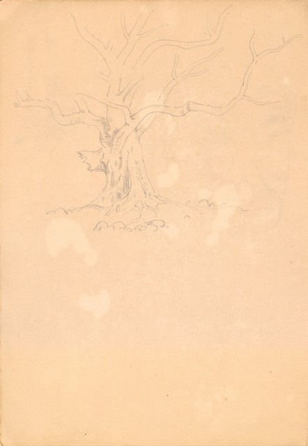 藏品:人物、花、鳥、樹等寫生集016的(25)張圖片