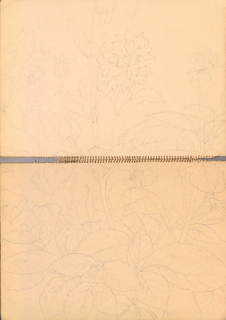 藏品:人物、花、鳥、樹等寫生集016的(27)張圖片