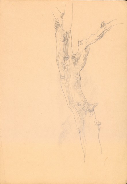 藏品:人物、花、鳥、樹等寫生集016的(29)張圖片