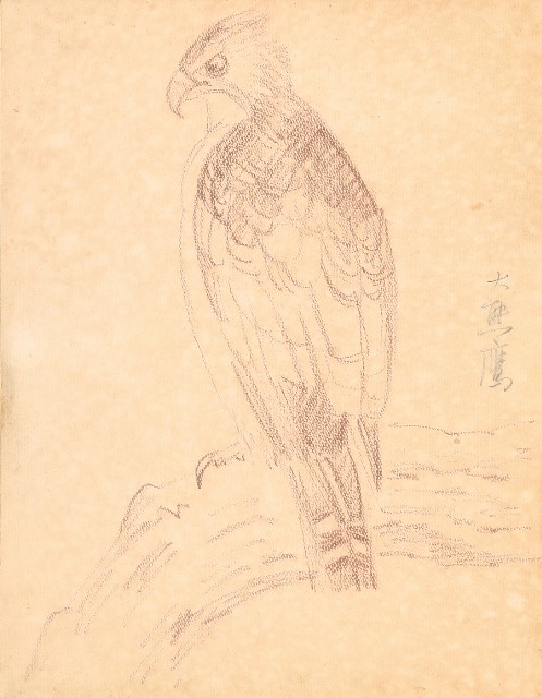 藏品:鷹、兔、鴨、獅等018的(2)張圖片