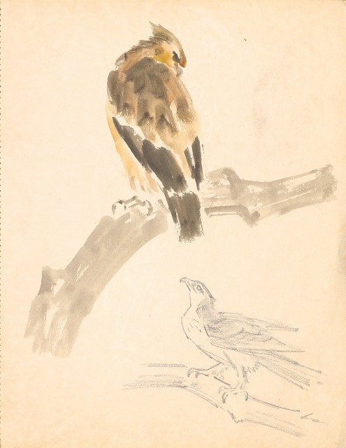 藏品:鷹、兔、鴨、獅等018的(3)張圖片