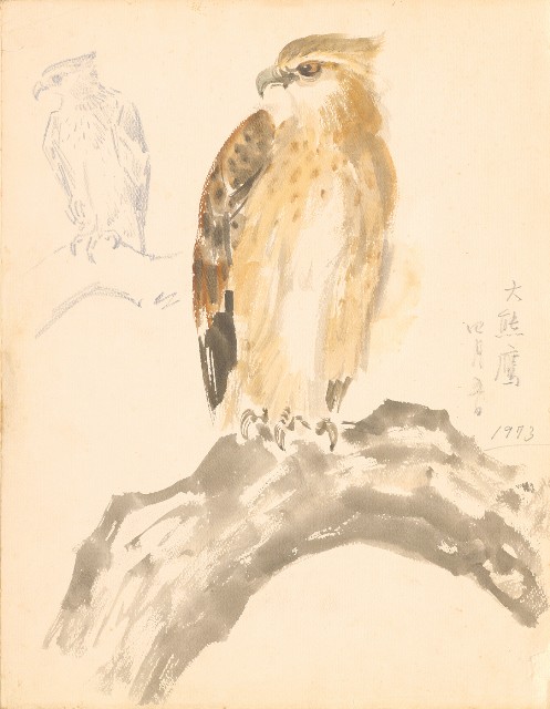 藏品:鷹、兔、鴨、獅等018的(4)張圖片