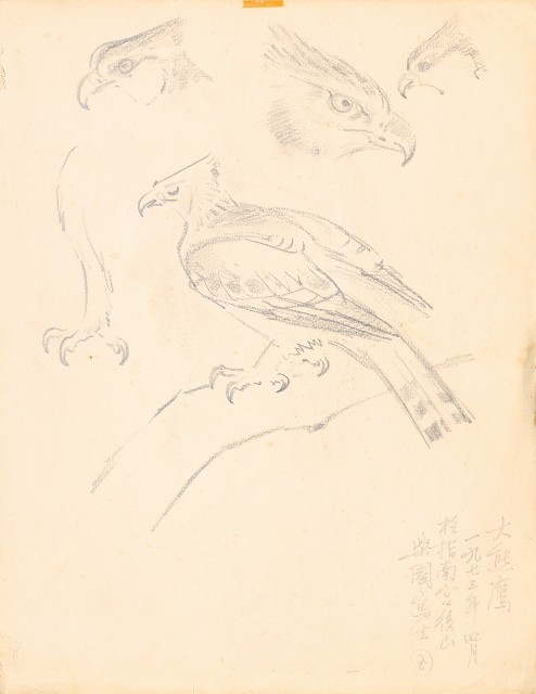 藏品:鷹、兔、鴨、獅等018的(5)張圖片