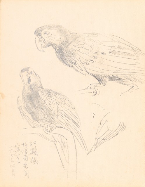 藏品:鷹、兔、鴨、獅等018的(6)張圖片