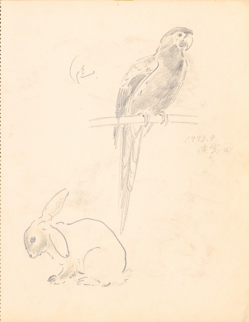 藏品:Eagle, Rabbits, Ducks, Lions, etc. 018的(3)張圖片