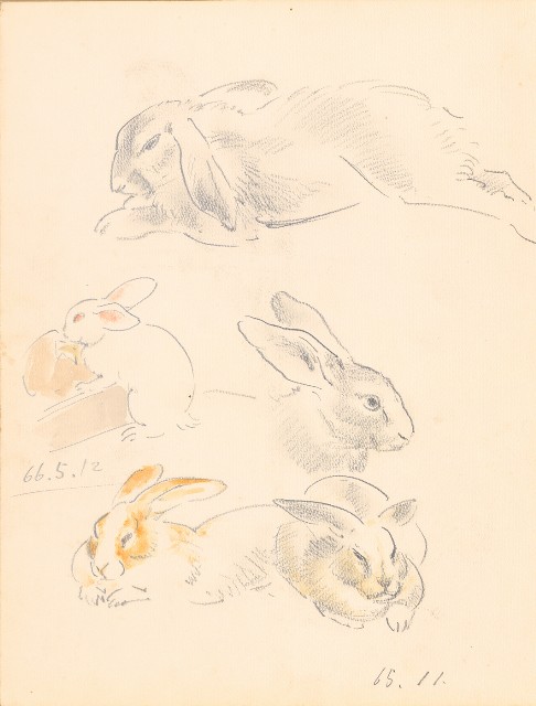 藏品:鷹、兔、鴨、獅等018的(8)張圖片