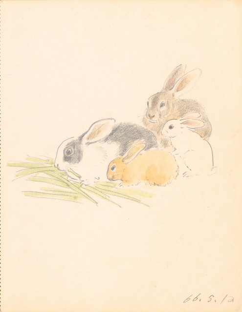 藏品:鷹、兔、鴨、獅等018的(9)張圖片