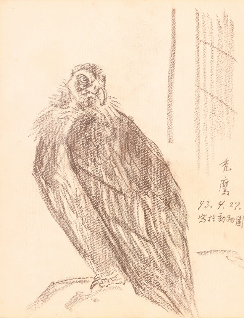 藏品:鷹、兔、鴨、獅等018的(11)張圖片