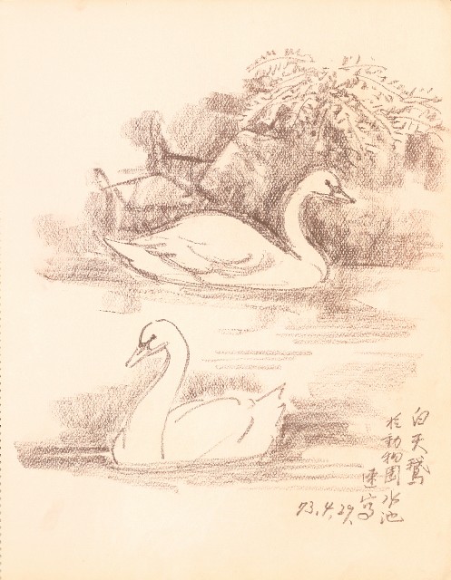 藏品:鷹、兔、鴨、獅等018的(12)張圖片