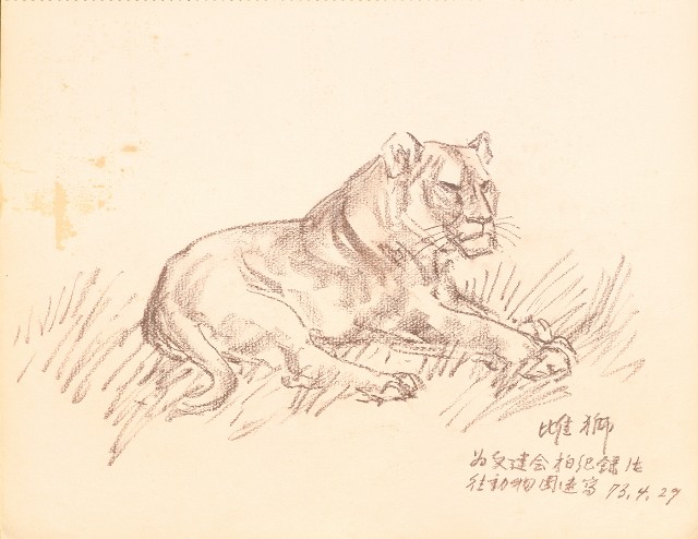 藏品:鷹、兔、鴨、獅等018的(13)張圖片